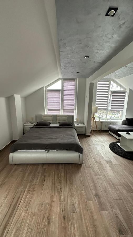Seti Gorgeous Apartments With Jacuzzi Belgrad Dış mekan fotoğraf