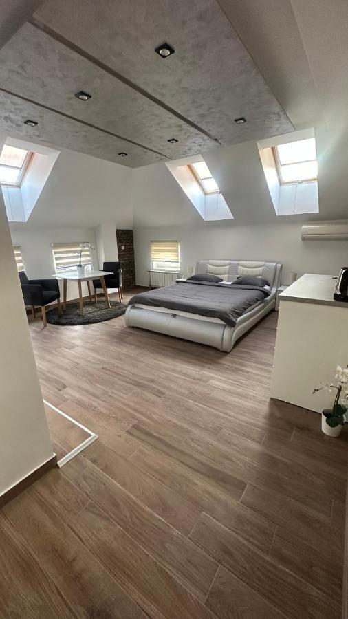 Seti Gorgeous Apartments With Jacuzzi Belgrad Dış mekan fotoğraf
